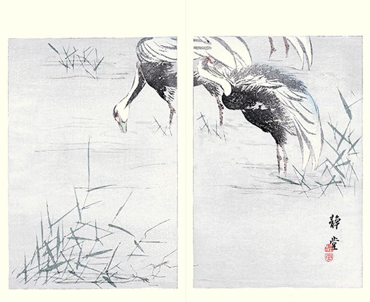 photo23.jpg
