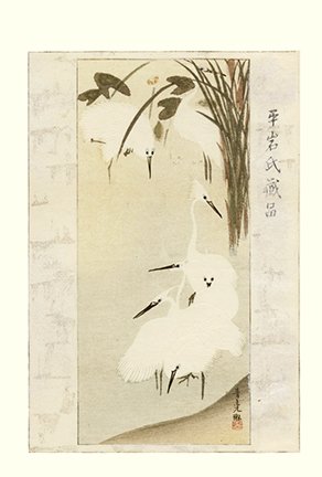 photo8.jpg