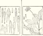 photo10_small.jpg
