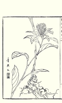 photo14.jpg