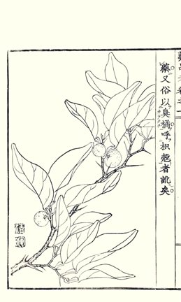 photo19.jpg