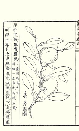 photo20.jpg