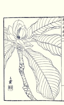 photo22.jpg