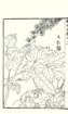 photo5_small.jpg
