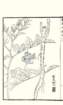 photo7_small.jpg