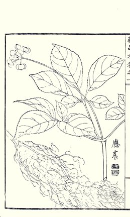 photo9.jpg
