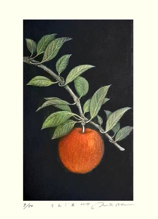 photo18.jpg