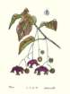 photo11_small.jpg