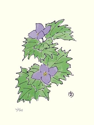 photo16.jpg