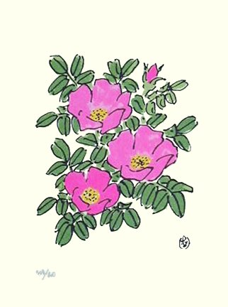 photo23.jpg