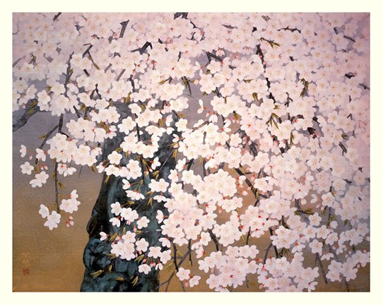 photo26.jpg