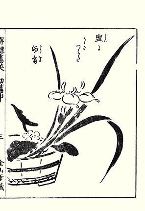 photo3.jpg