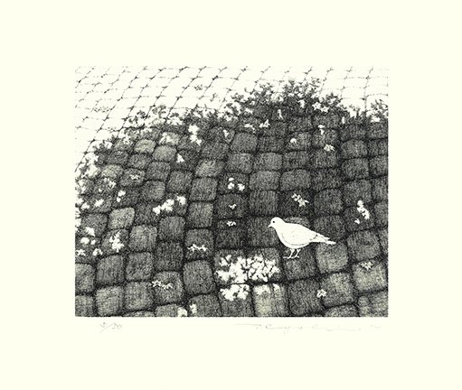 photo21.jpg