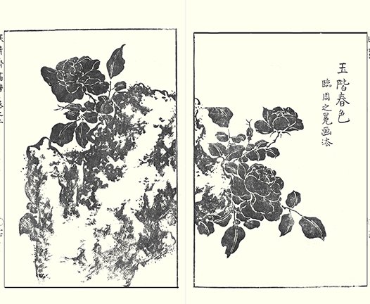 photo18.jpg