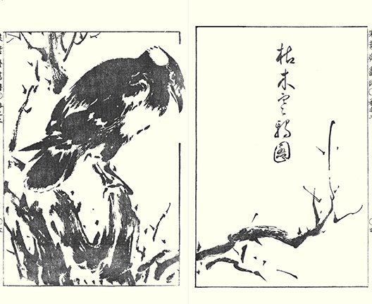 photo25.jpg