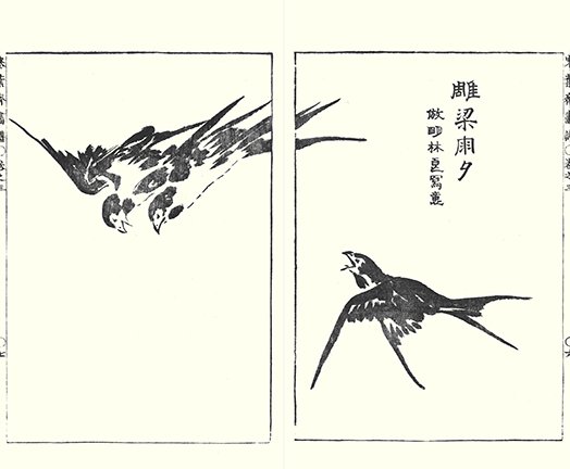 photo27.jpg