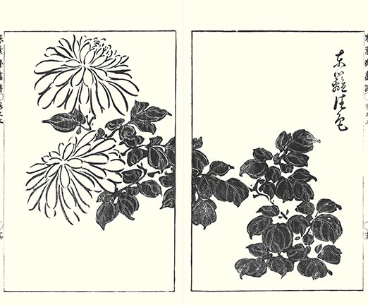photo29.jpg