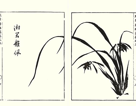 photo23.jpg