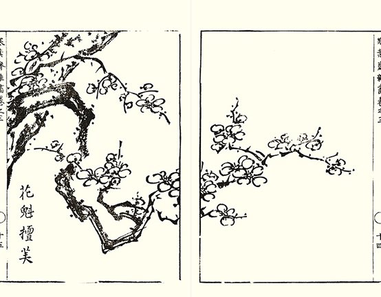 photo34.jpg