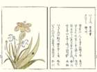 photo14_small.jpg