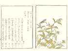 photo26_small.jpg