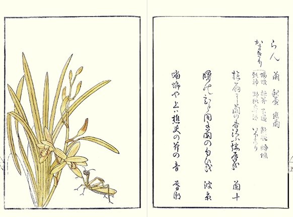 photo29.jpg