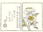 photo9_small.jpg