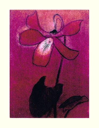 photo25.jpg