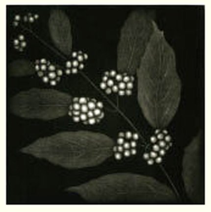 photo3.jpg