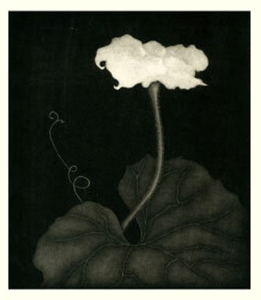 photo6.jpg