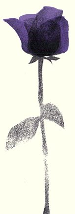 photo3.jpg