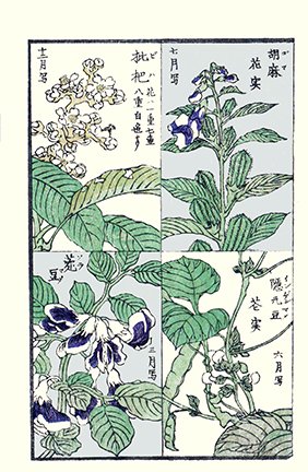 photo12.jpg