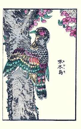 photo16.jpg