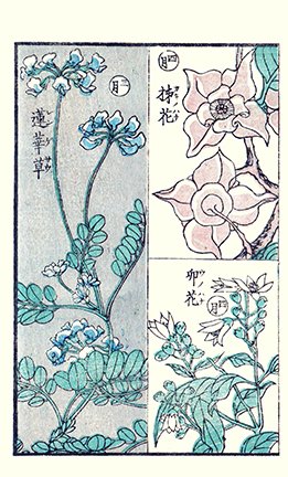 photo20.jpg
