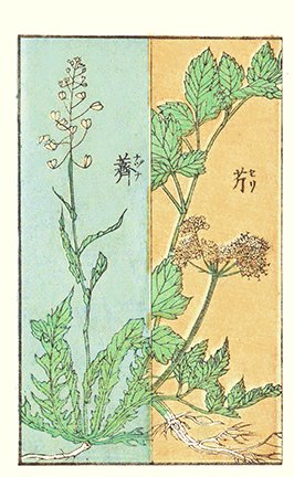 photo24.jpg