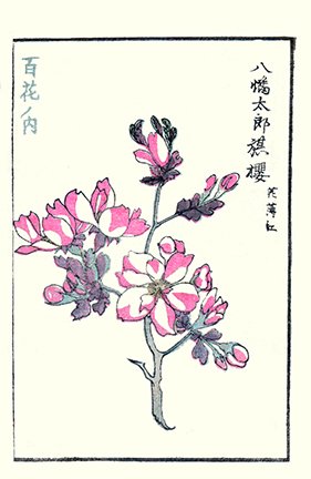 photo26.jpg