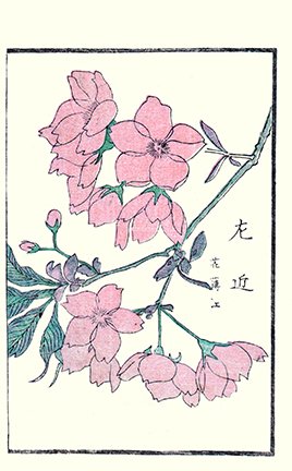 photo28.jpg