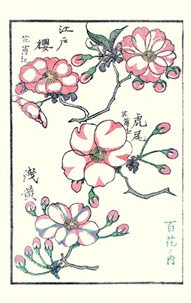 photo33.jpg