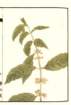 photo12_small.jpg