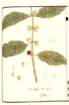 photo13_small.jpg