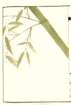 photo15_small.jpg