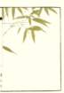 photo16_small.jpg