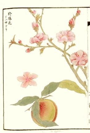 photo21.jpg