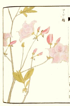 photo31.jpg