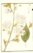 photo33_small.jpg