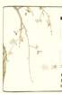 photo37_small.jpg
