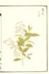 photo5_small.jpg