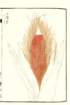 photo77_small.jpg