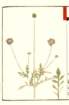 photo14_small.jpg