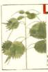 photo16_small.jpg